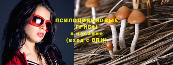 прущий лед Абаза